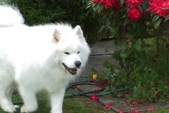 10383973_10204509477351871_8296493492835614722_n