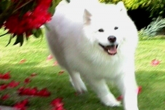 10968576_10204509458111390_7000134885636057350_n