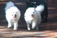 13442383_10207902644698934_1639089038213219811_n