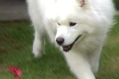 1393969_10204509458151391_3969257709270318838_n